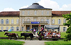 Already certified since 2004: the family friendliness of the University of Hohenheim. Pictured here: The children's party as part of the annual open day at Germany's most beautiful university campus. | Picture source: University of Hohenheim / Boris Lehner