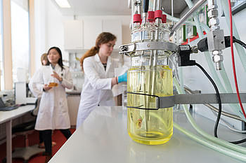Modern Food Biotechnology: Germany and China Pursue Joint Research Plans :  Bioeconomy