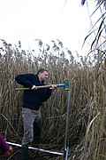 Dr. Lamers beim Aufbau der Messstation. Foto: Universität Hohenheim