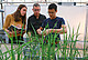 Das International PhD Program in Agricultural Economics, Bioeconomy and Sustainable Food Systems der Universitäten Gießen und Hohenheim nimmt nachhaltige Ernährungssysteme in den Blick. | Bildquelle: DAAD / Focke Strangmann