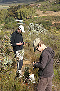 Dr. Martina Treurnicht (r.) und Dr. Jörn Pagel bei der Feldarbeit in Südafrika | Bildquelle: Universität Hohenheim / Frank Schurr