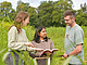 The NTU Ranking by Subjects certifies that the University of Hohenheim is in 3rd place in Germany in 2026 in agricultural research and food sciences. | Image source: University of Hohenheim / Max Kovalenko